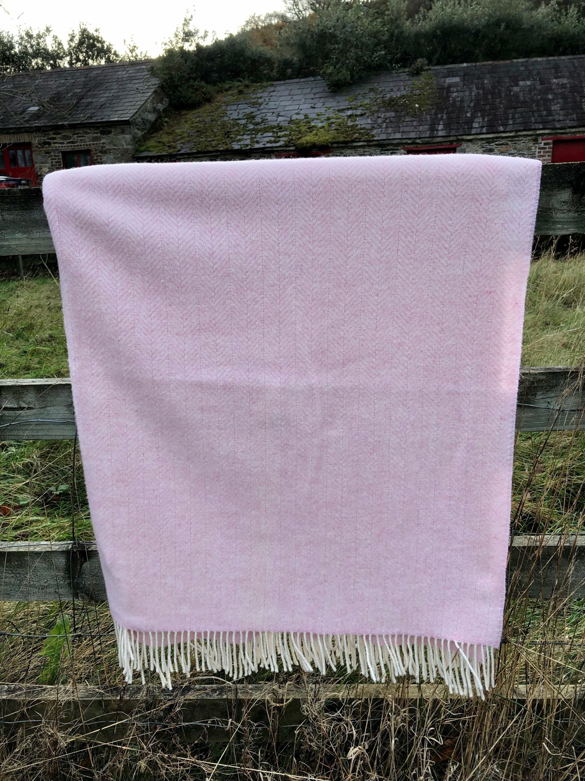 Merino and Cashmere Blend Blanket in Pink